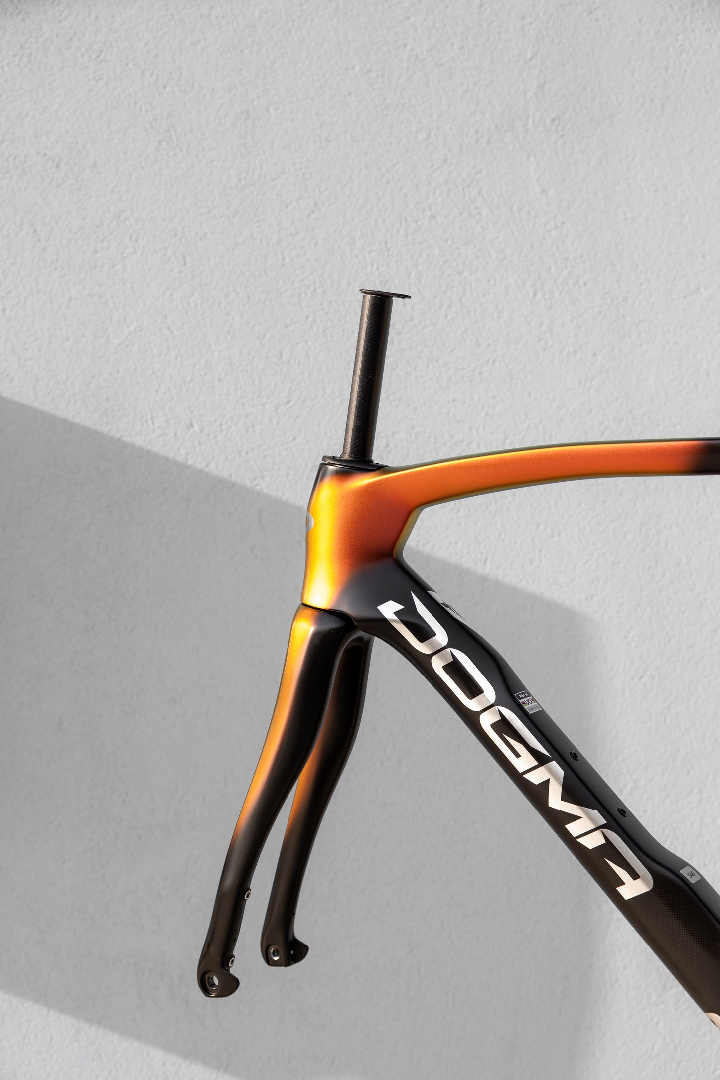 KIT TELAIO PINARELLO DOGMA F_BLK / ORG_TG 54