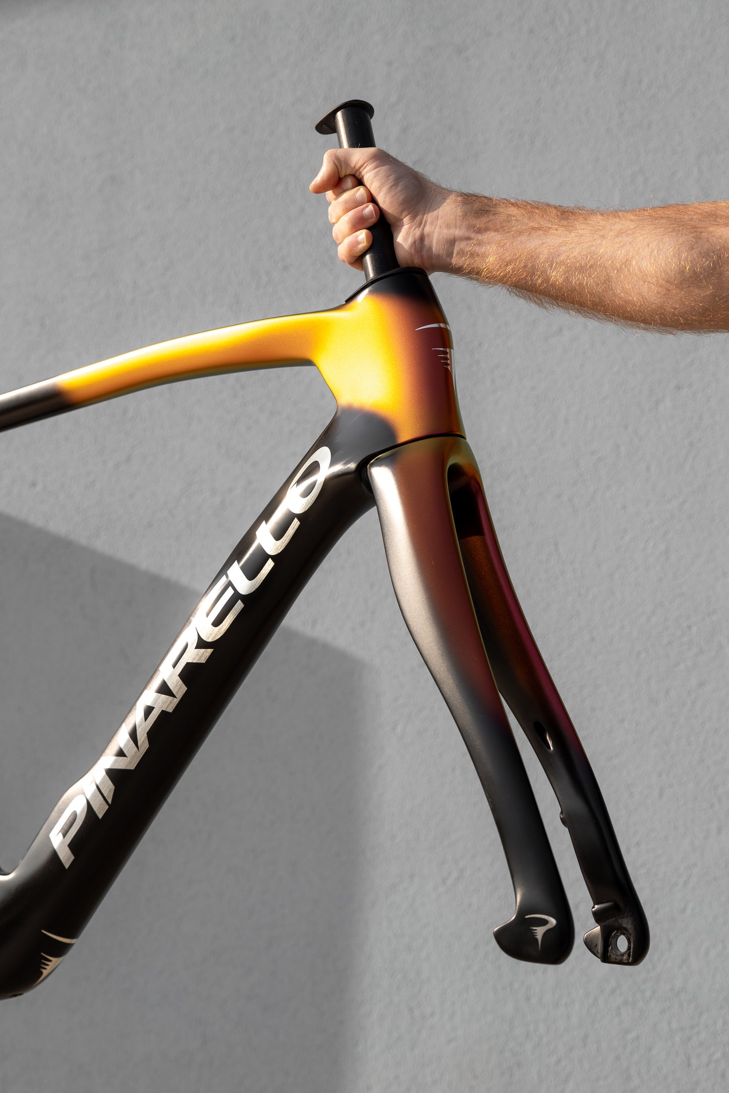 KIT TELAIO PINARELLO DOGMA F_BLK / ORG_TG 54