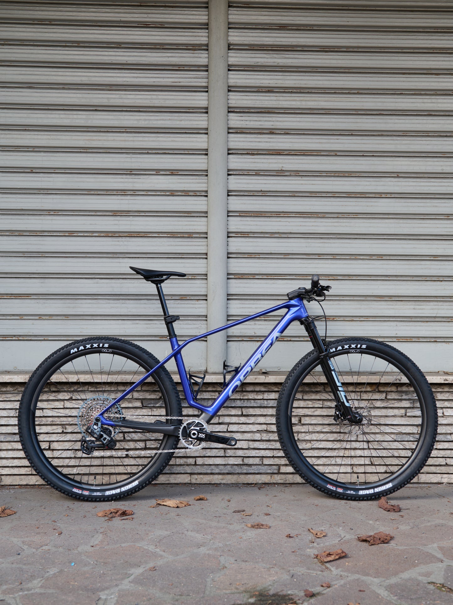 ALMA M LTD - BLU - TG L