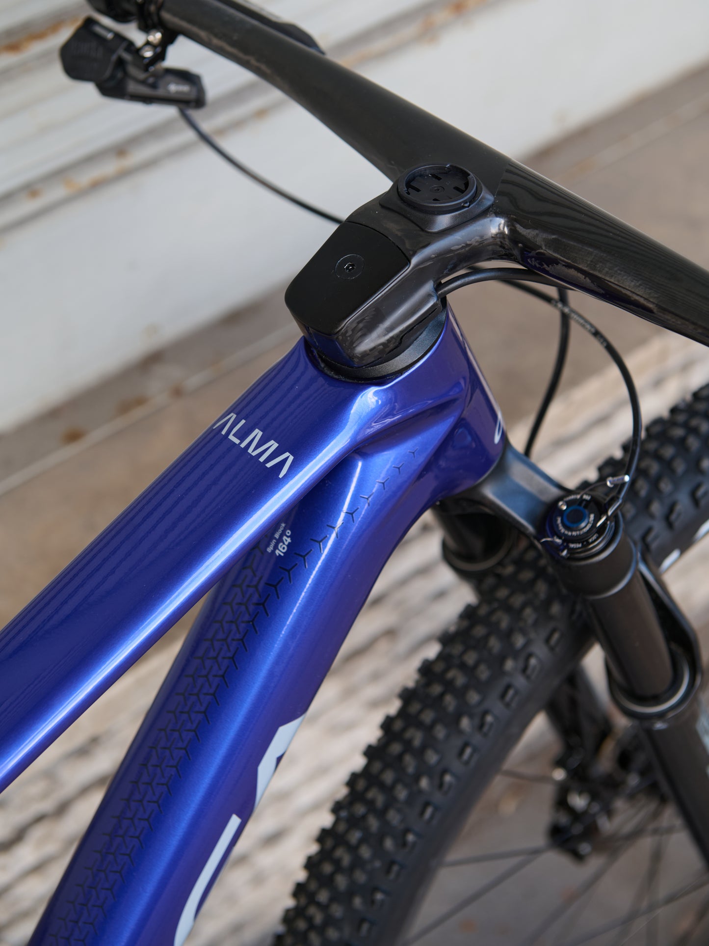 ALMA M LTD - BLU - TG L