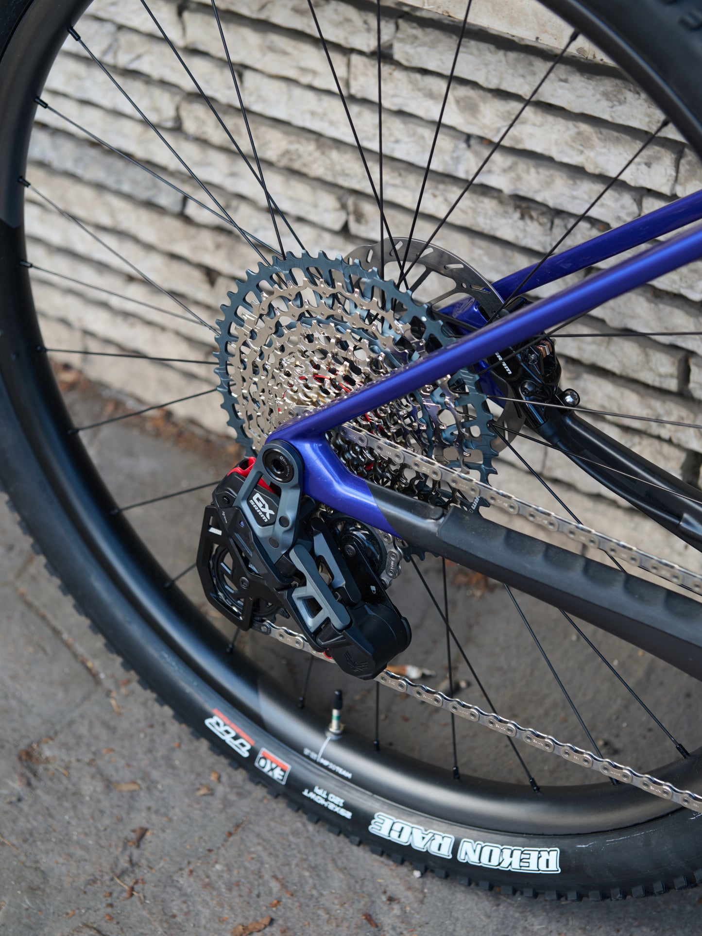 ALMA M LTD - BLU - TG L