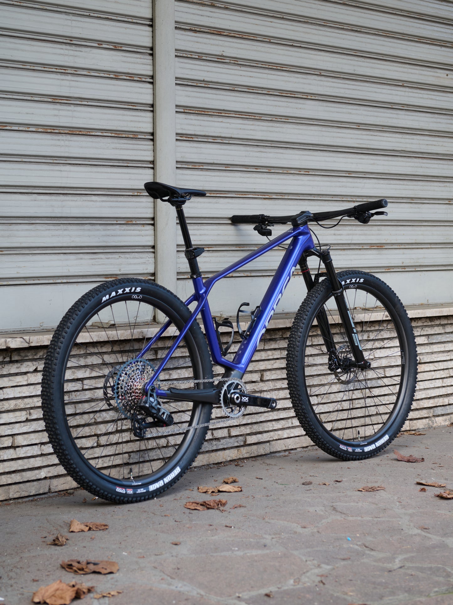 ALMA M LTD - BLU - TG L