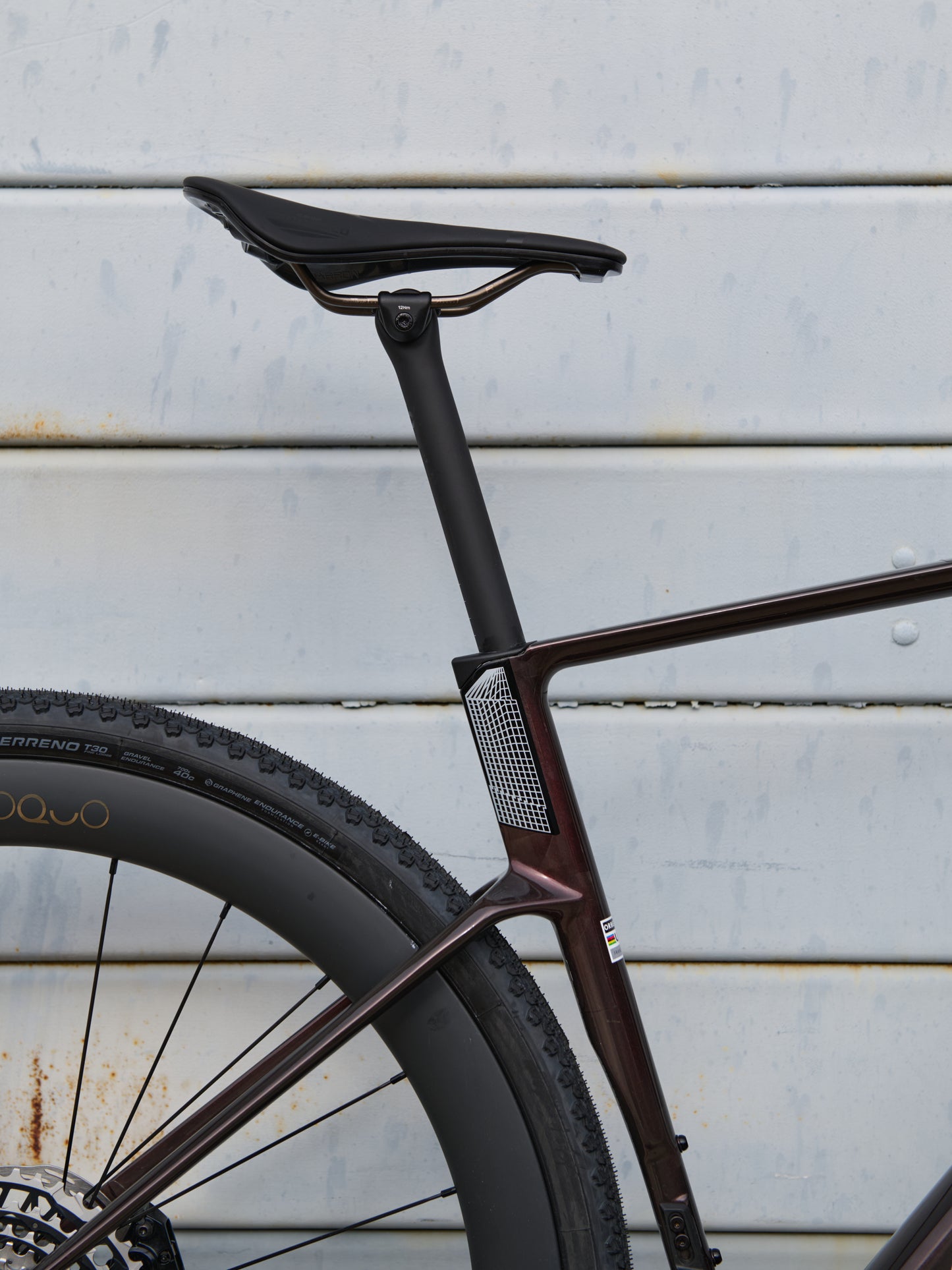 TERRA RACE M21eLTD 1X - CUSTOM - TG M