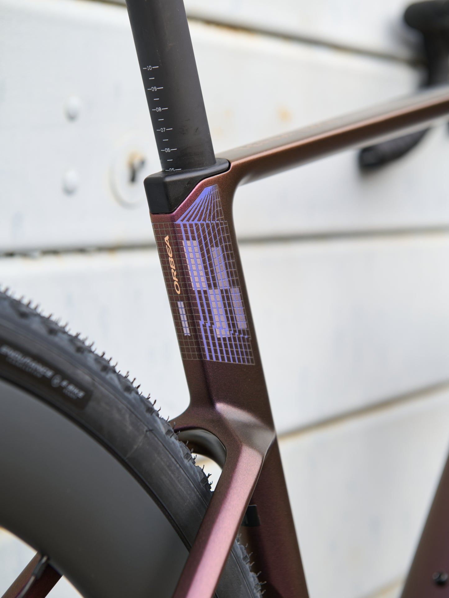 TERRA RACE M21ELTD 1X - SUNSET - TG M
