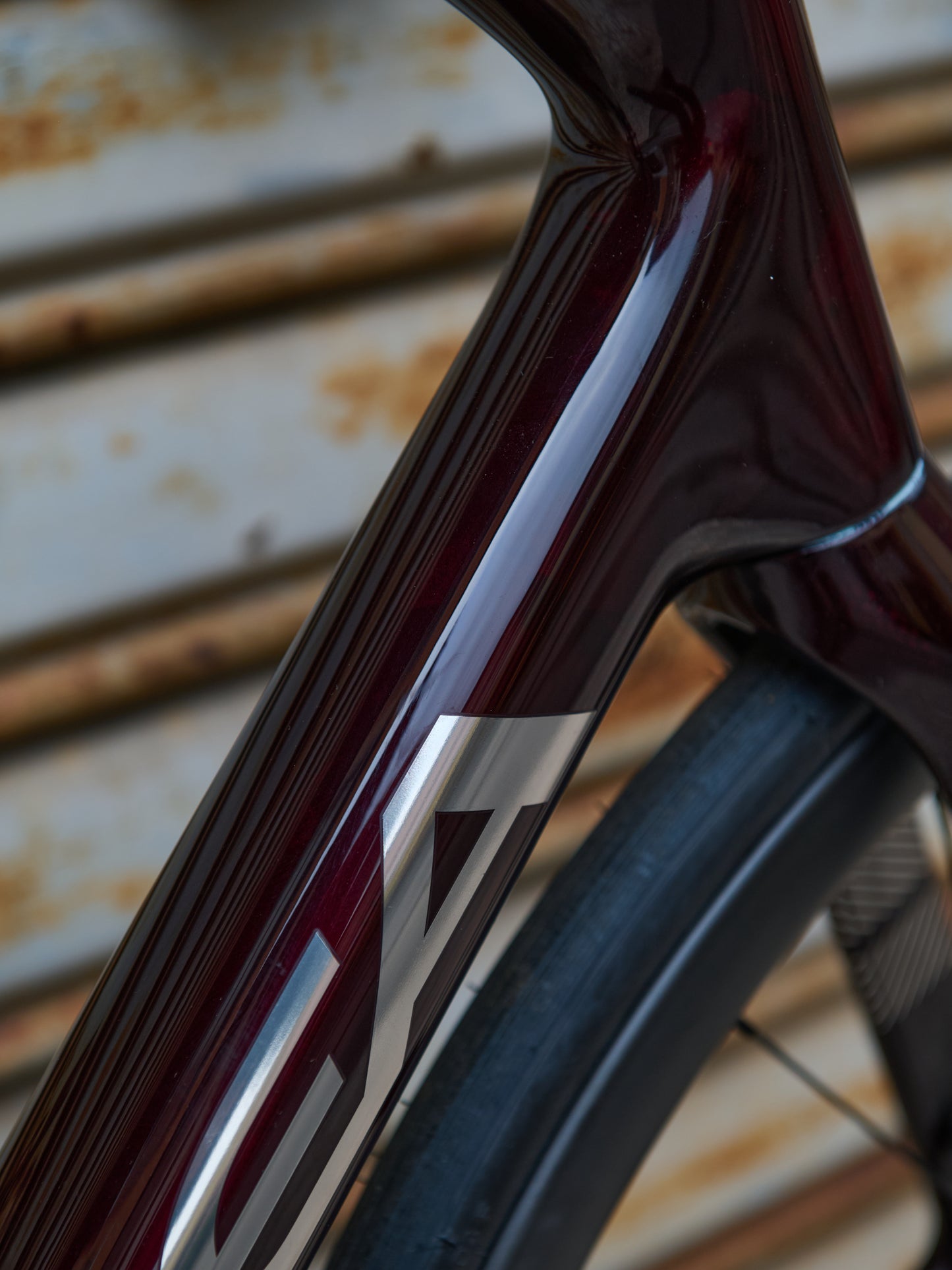 ORCA M35I - RED WIN - TG 55