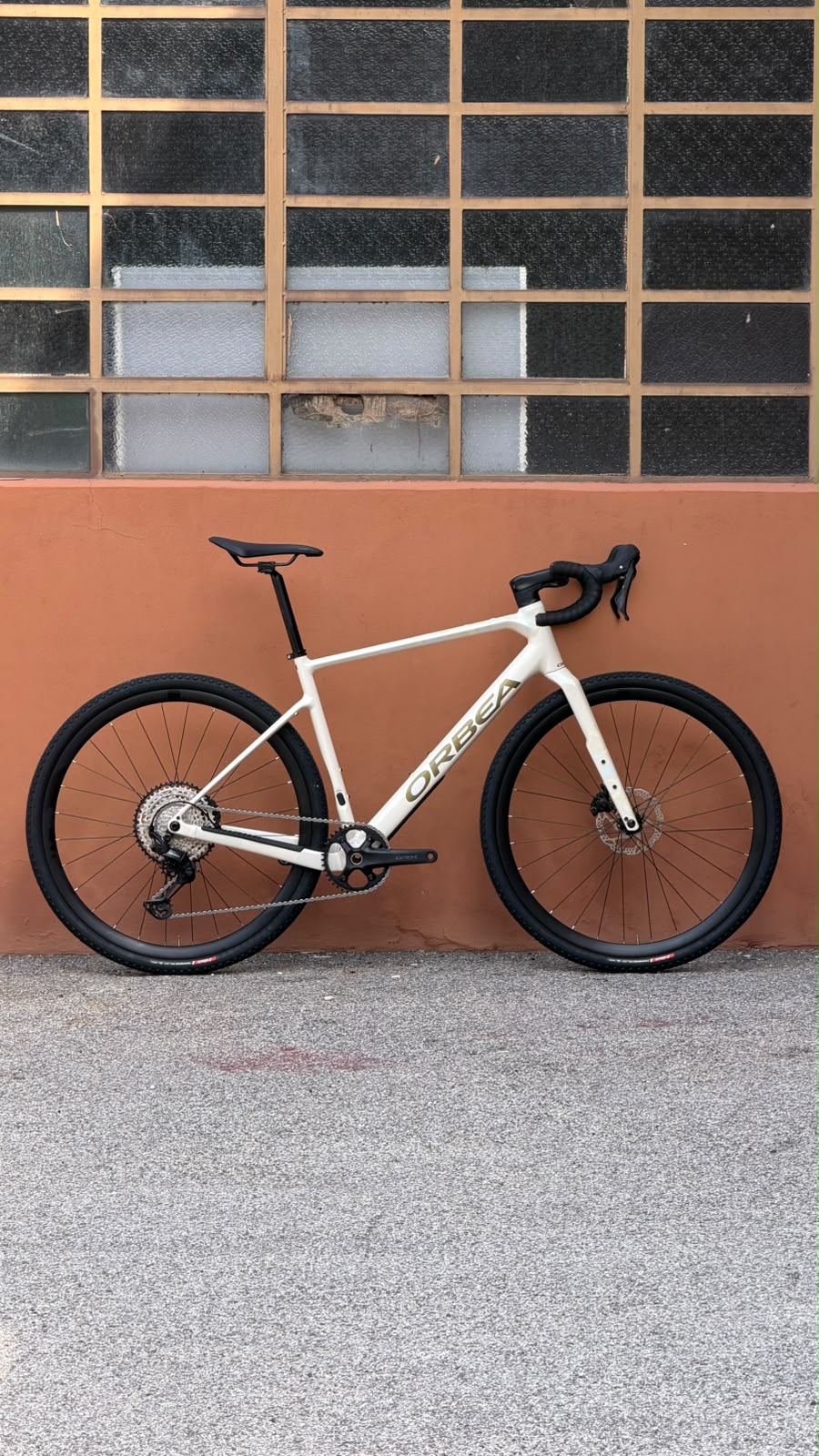 TERRA H30 1X - IVORY - TG L