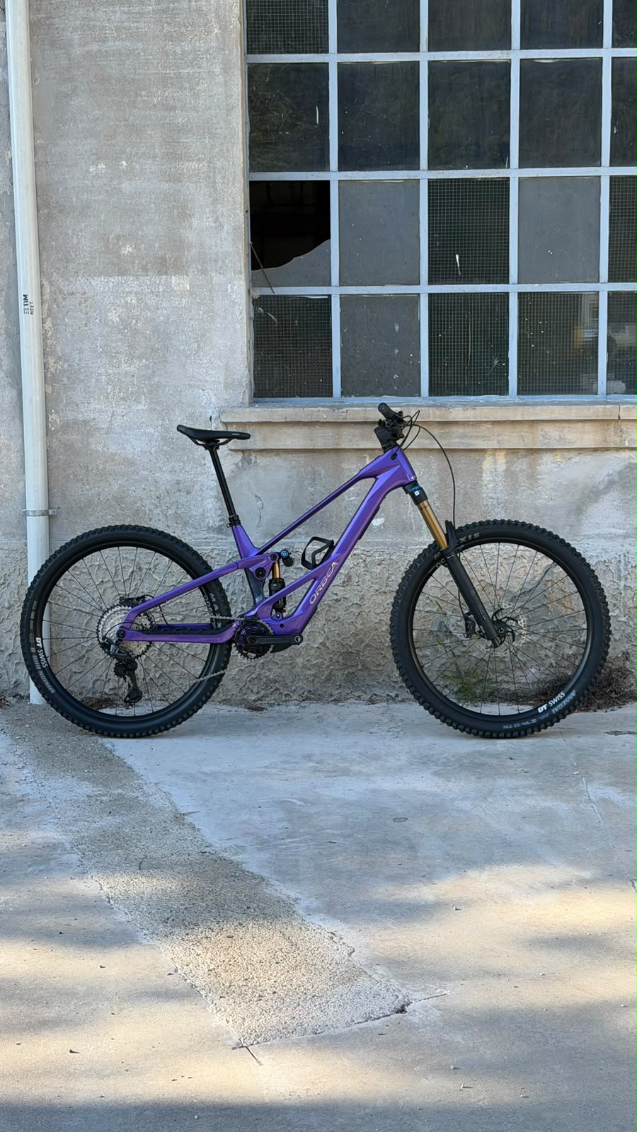 WILD LT M10 - ROYAL PLUM - TG L