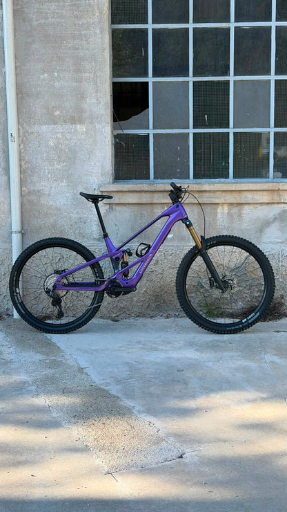 WILD LT M10 - ROYAL PLUM - TG L