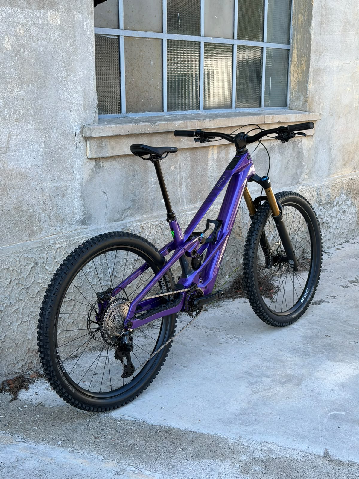 WILD LT M10 - ROYAL PLUM - TG L
