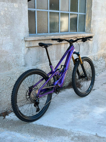 WILD LT M10 - ROYAL PLUM - TG L