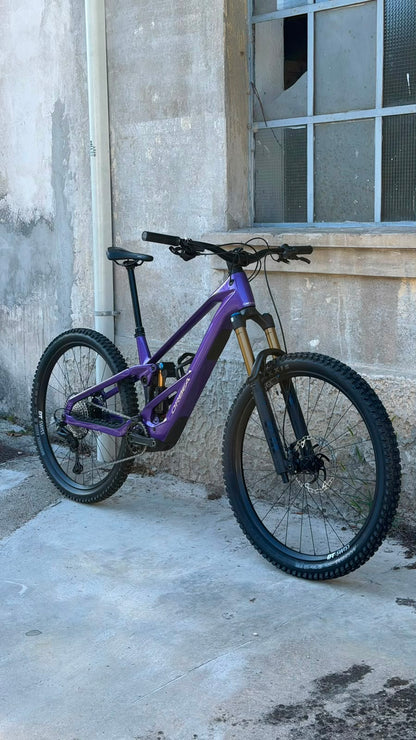 WILD LT M10 - ROYAL PLUM - TG L