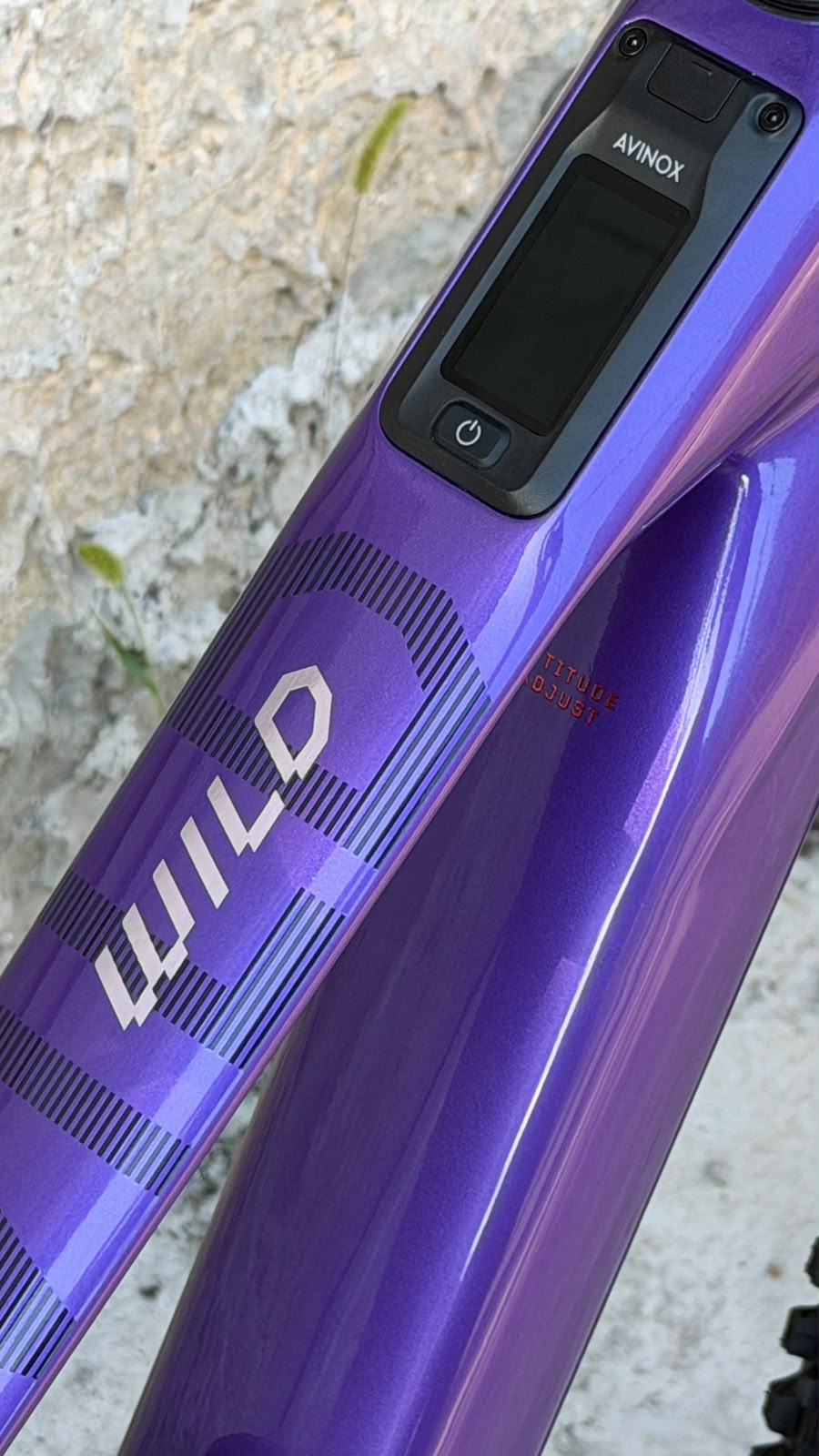 WILD LT M10 - ROYAL PLUM - TG L
